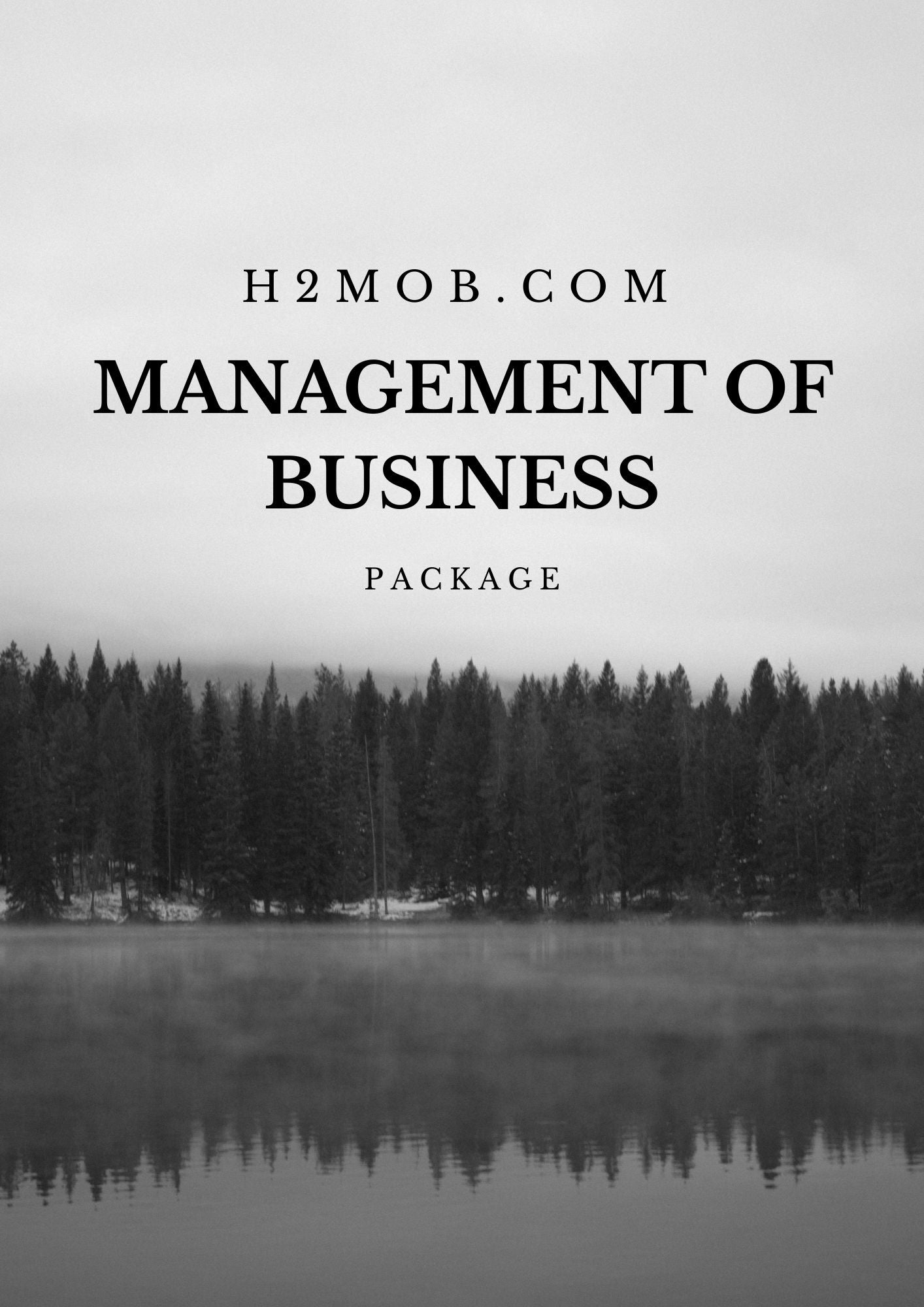 (h2 mob, Management Of Business Singapore A-levels)